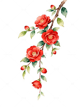 水彩风红花绿叶枝条手绘插画素材