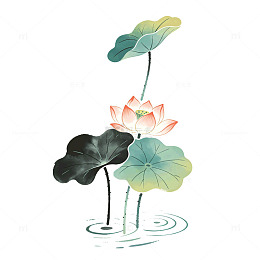 水墨风荷花荷叶手绘插画设计免抠