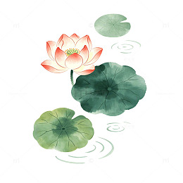 水墨风荷花荷叶手绘插画设计素材