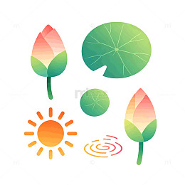 扁平风夏日荷塘植物插画设计素材