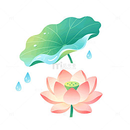 插画风荷花荷叶清新设计素材