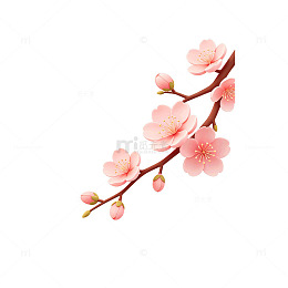 手绘风樱花枝条插画设计素材