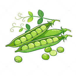 手绘风新鲜豌豆荚矢量素材
