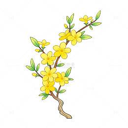 手绘风迎春花枝插画设计素材