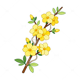 卡通风格春天枝头黄花插画设计素材