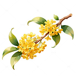 手绘风枝头绽放桂花插画素材