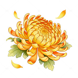 手绘风秋日菊花花卉插画设计素材