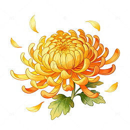 手绘风秋日菊花插画设计素材