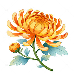 卡通风菊花花卉插画设计素材