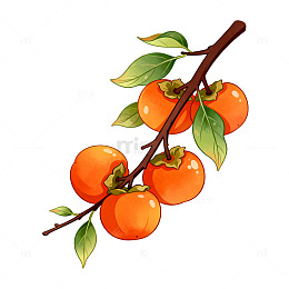 手绘风柿子枝条插画设计素材