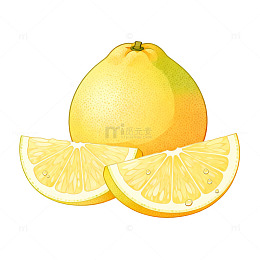 手绘风柠檬切片水果插画设计素材