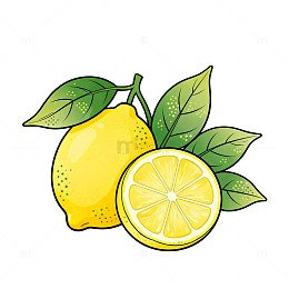 手绘风柠檬果实插画设计素材