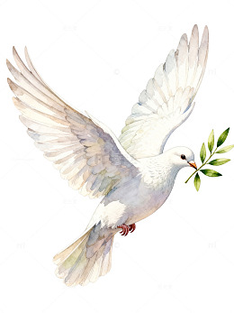 水彩风和平鸽橄榄枝插画设计素材