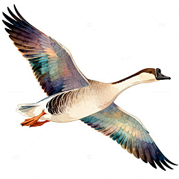 手绘风飞翔大雁插画设计素材
