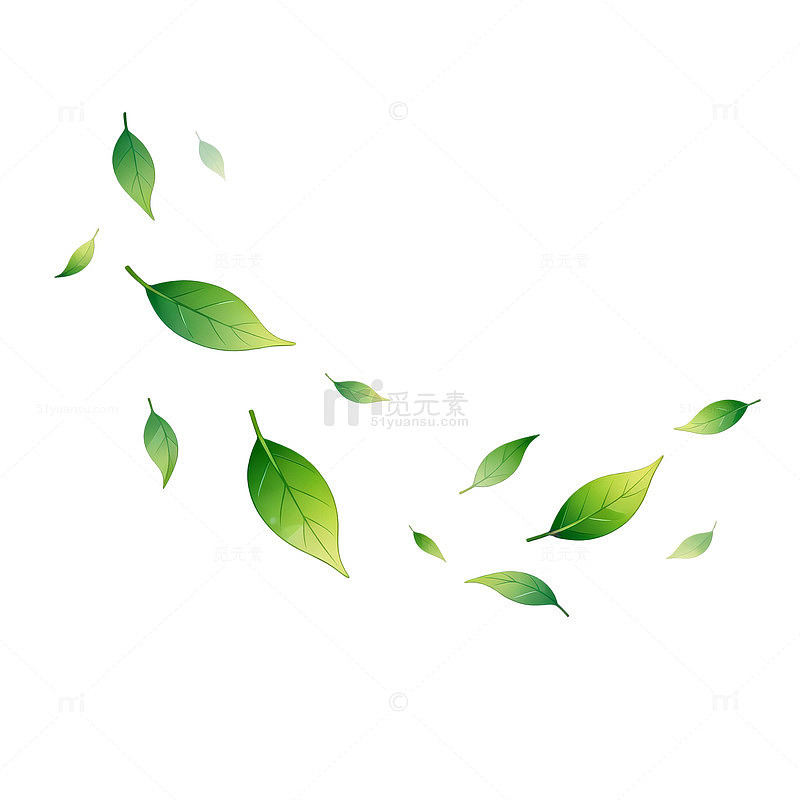 清新风绿叶藤蔓装饰矢量素材