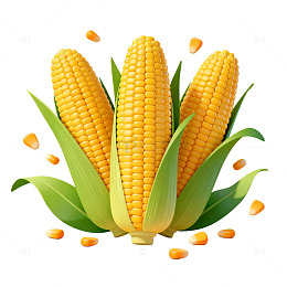 卡通风格玉米丰收插画设计素材