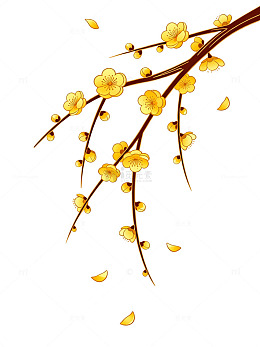 手绘风梅花枝条插画设计素材