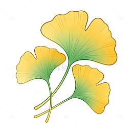 插画风银杏叶秋季植物设计素材