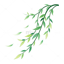 水彩风垂柳枝叶手绘植物设计素材