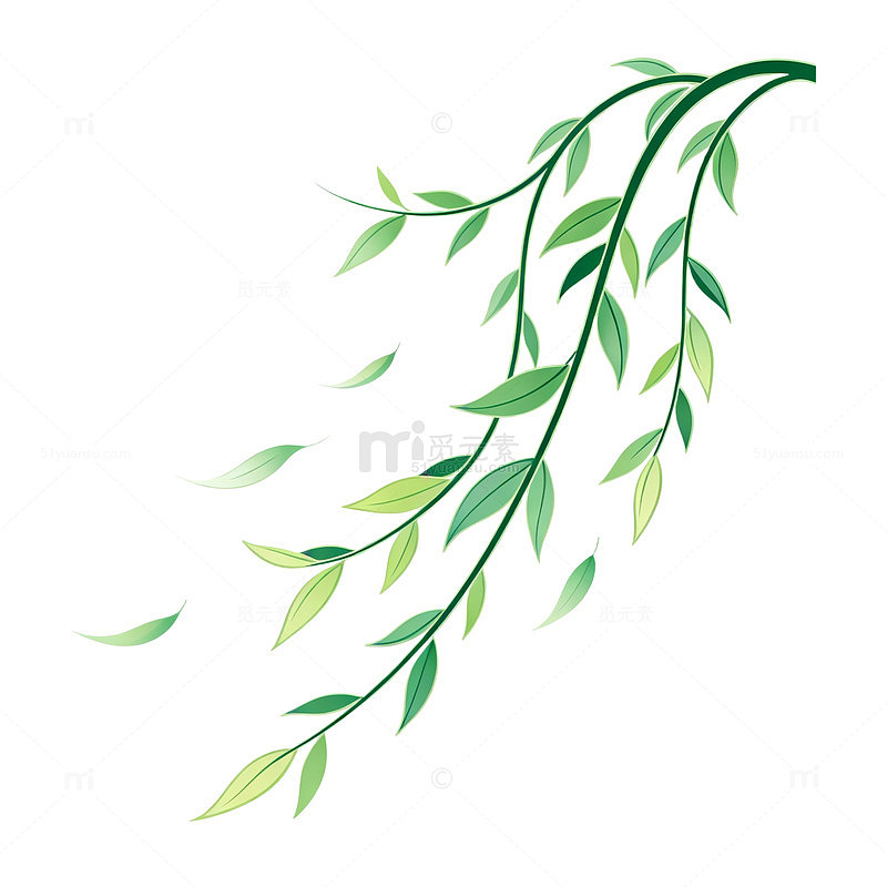 水彩风垂柳枝叶手绘植物设计素材