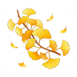 手绘风银杏叶飘落插画设计素材