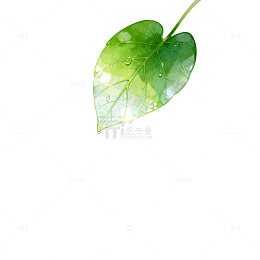 清新风绿叶水波倒影自然素材