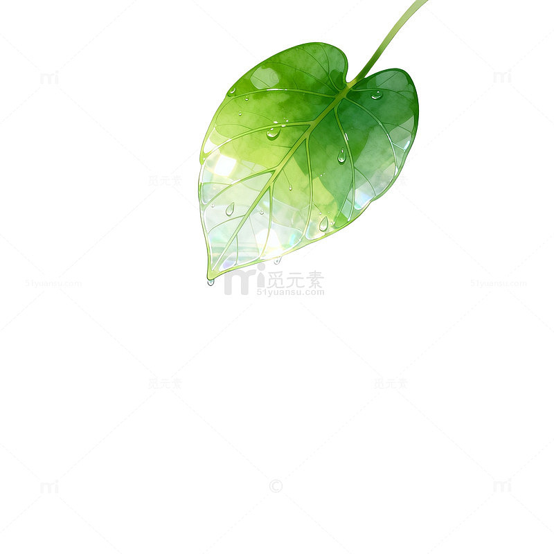 清新风绿叶水波倒影自然素材