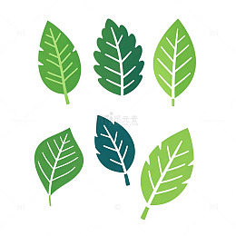 扁平风绿色植物叶片矢量设计素材
