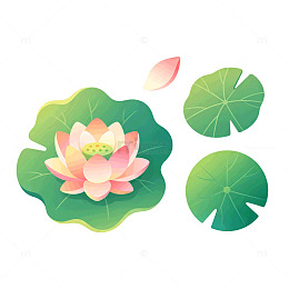 卡通风格荷花荷叶矢量设计渐变素材