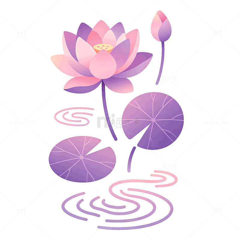 扁平风荷花池塘插画设计粉紫色素材