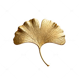 极简风金色银杏叶金属质感设计素材