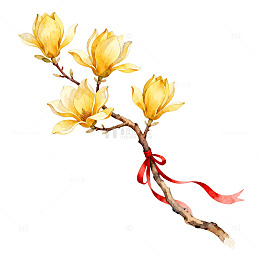 水彩风玉兰花枝手绘设计素材