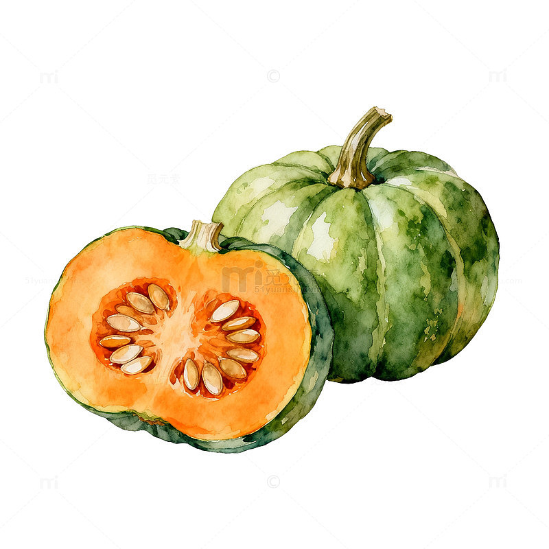 水彩风南瓜切面手绘蔬果插画素材