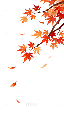 插画风秋日枫叶飘落设计素材
