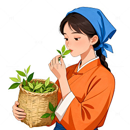 插画风采茶女子手绘竹篮茶叶设计素材