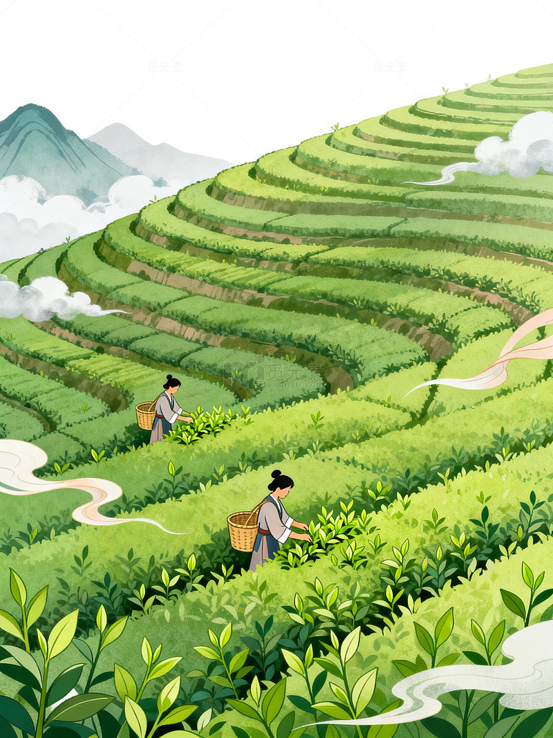 国风手绘茶园采茶插画设计素材