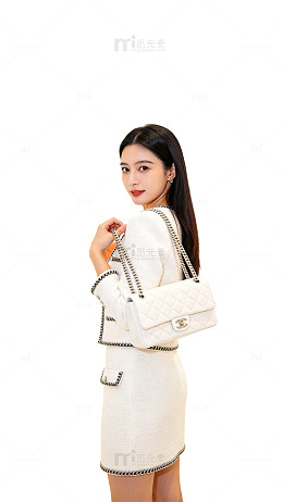 时尚风优雅女性手提包设计素材