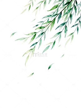 水墨风柳枝飘落水面插画设计素材