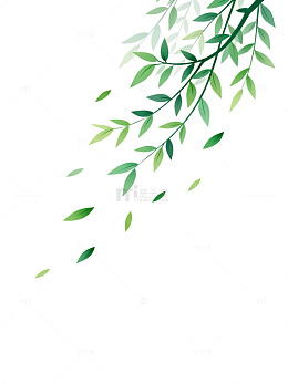 水墨风垂柳枝叶插画设计素材