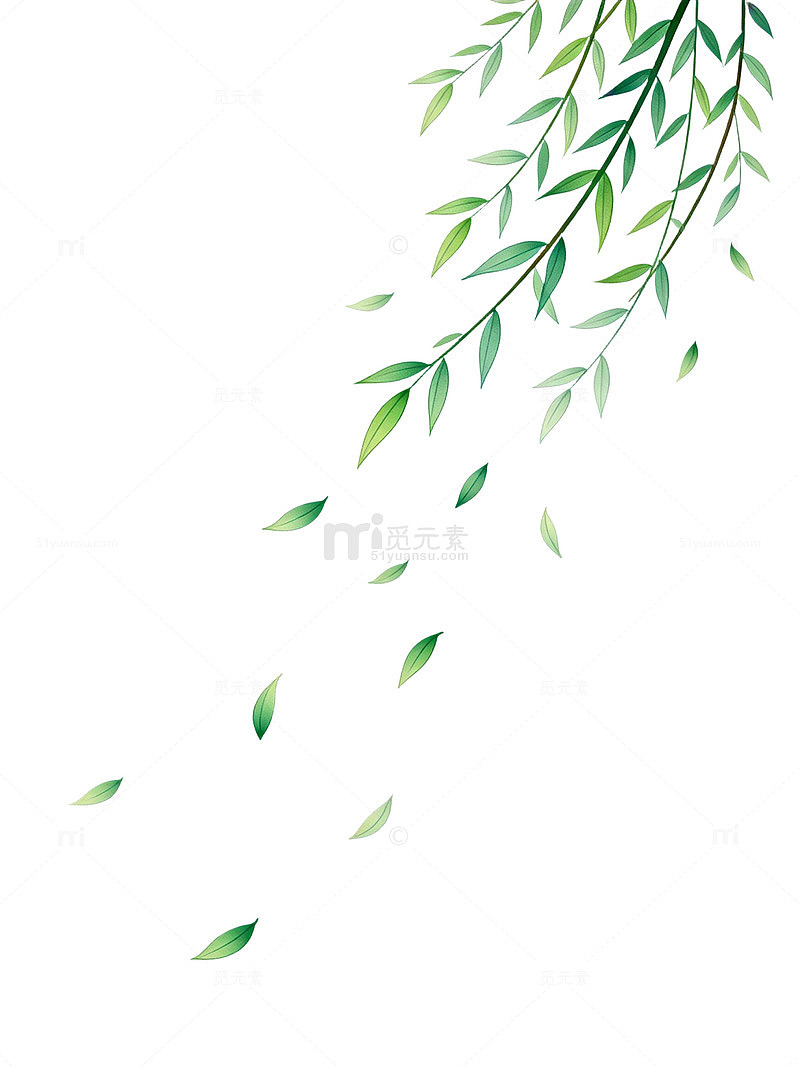 水彩风垂柳枝叶飘落设计素材