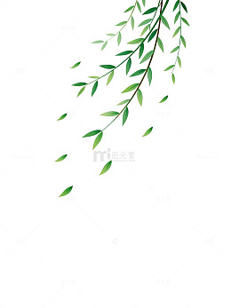 水彩风垂柳枝叶手绘植物设计素材