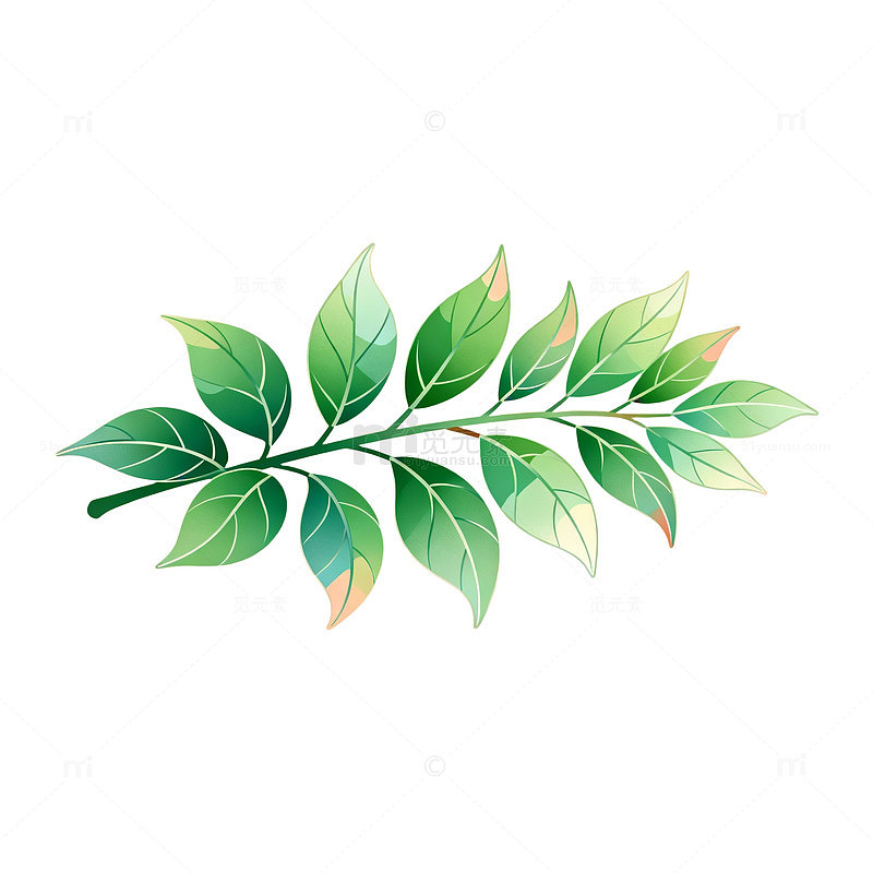 手绘风绿叶枝条植物插画素材