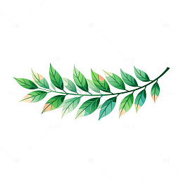 水彩风绿叶枝条手绘植物设计素材