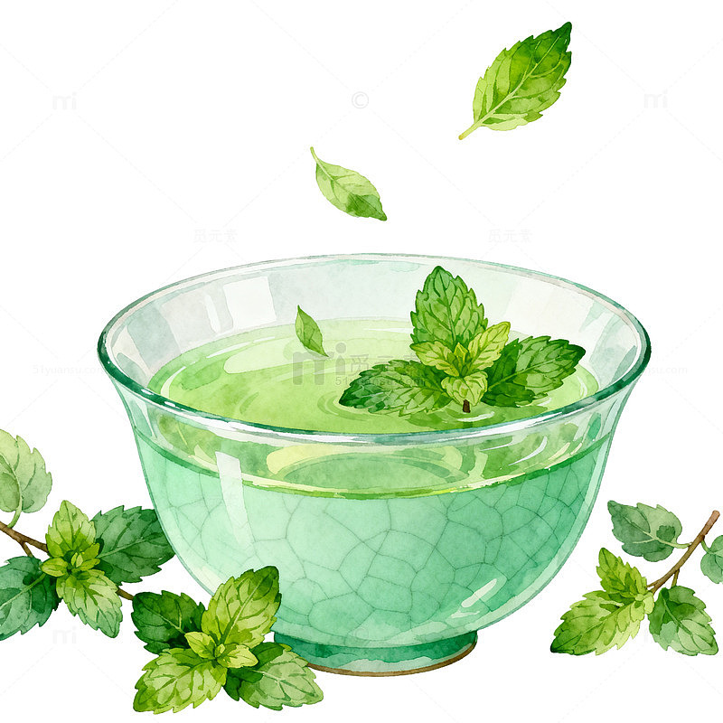 水彩风薄荷茶饮手绘插画设计素材