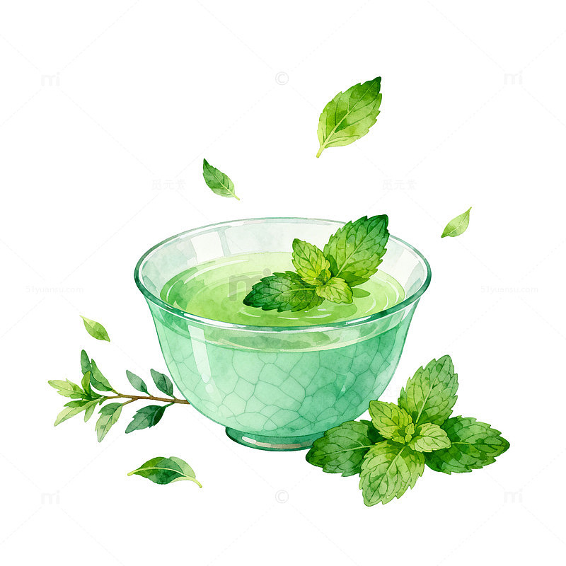 水彩风薄荷茶杯手绘插画设计素材
