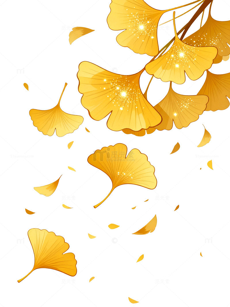 插画风秋日银杏落叶背景设计素材