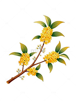 手绘风桂花枝条植物插画素材