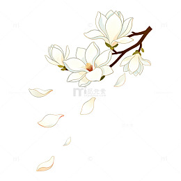手绘风玉兰花枝飘落花瓣设计素材