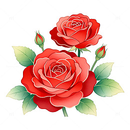 手绘风红玫瑰花卉插画设计素材