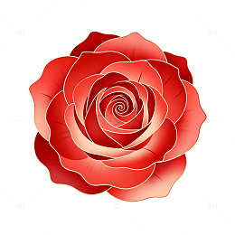 矢量风红色玫瑰花插画设计素材